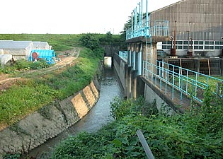 文覚川の最下流部