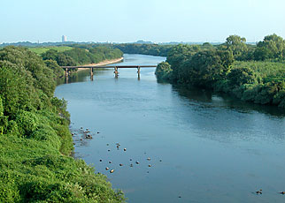 渡良瀬川 （渡良瀬遊水地の区間）